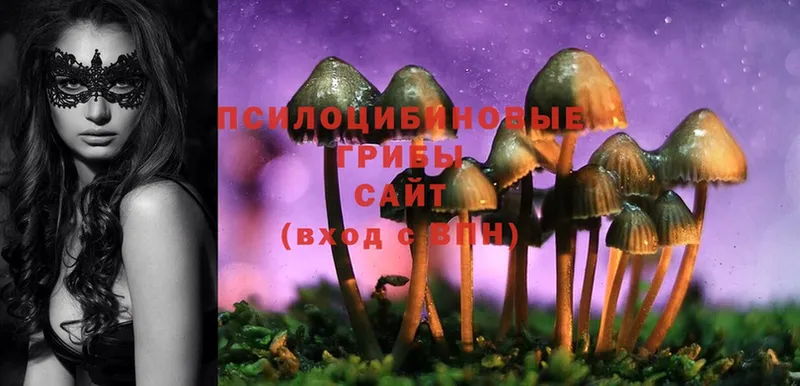 Псилоцибиновые грибы Magic Shrooms  купить наркоту  Когалым 